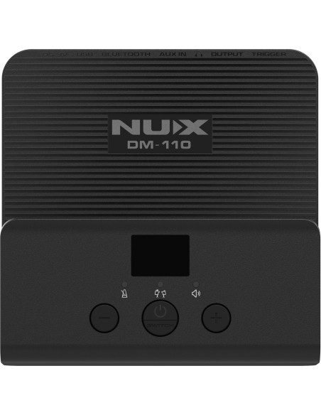 NUX DM-110