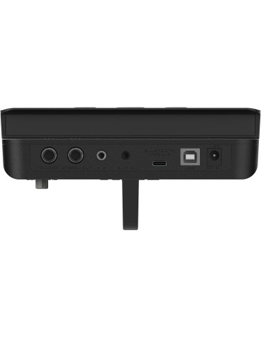 NUX DM-110