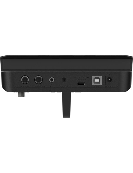NUX DM-110