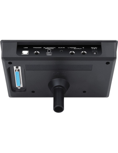 NUX DM-310H