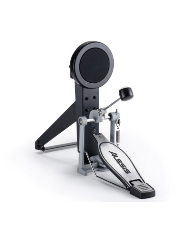 ALESIS NITROMAXKIT