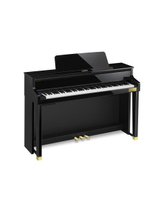 CASIO GP-510 BP 2