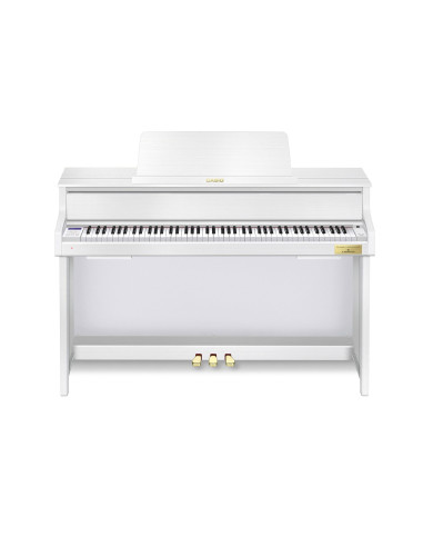CASIO GP-310 WE
