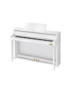 CASIO GP-310 WE 2