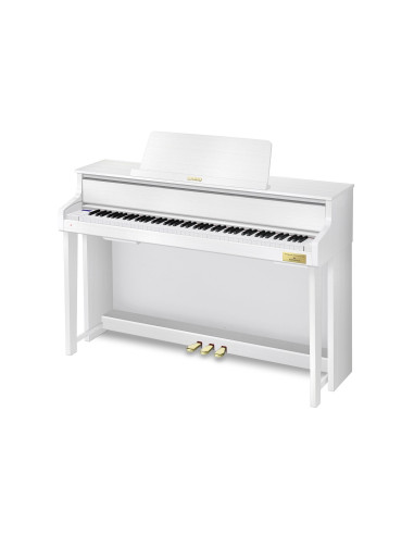 CASIO GP-310 WE