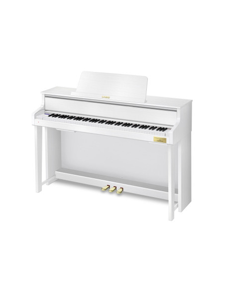 CASIO GP-310 WE