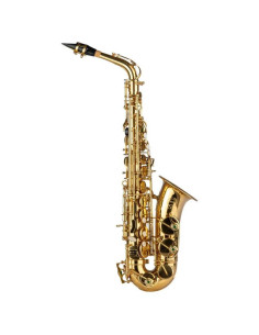 SAXOPHONE ALTO GRASSI SAL700 – MIB LAITON VERNI