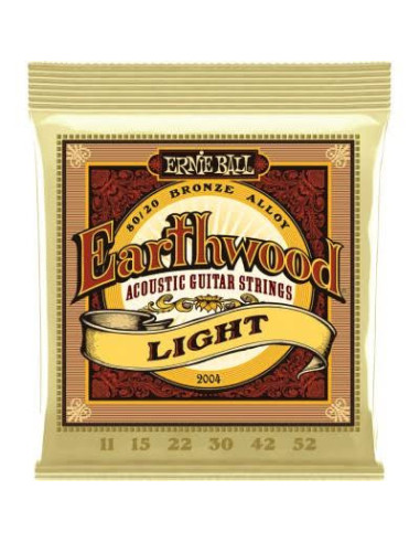 ERNIE BALL 2004 EARTHWOOD