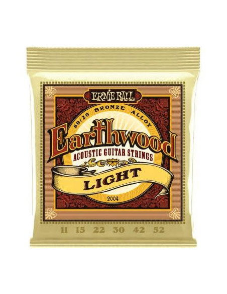 ERNIE BALL 2004 EARTHWOOD