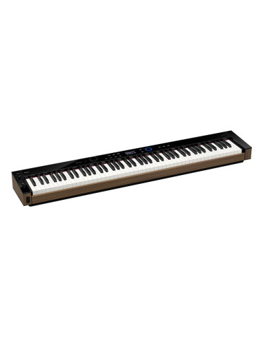 CASIO PX-S6000
