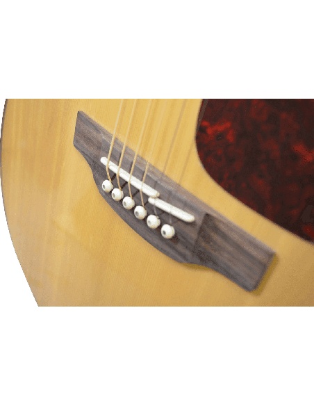 TAKAMINE - GTA GN93NAT