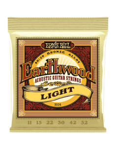 ERNIE BALL 2004 Earthwood