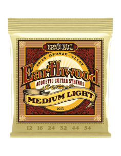 ERNIE BALL 2003 Earthwood 80/20 Bronze