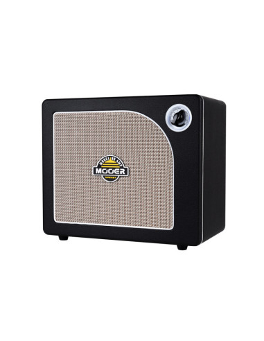 Mooer Hornet 30i Modeling Amp Black