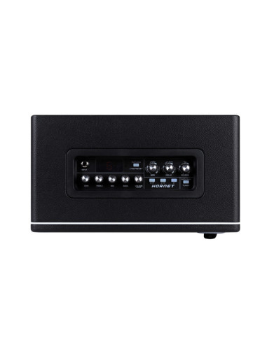 Mooer Hornet 30i Modeling Amp Black