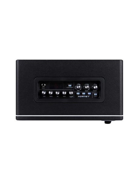 Mooer Hornet 30i Modeling Amp Black
