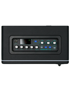 MOOER Hornet 15W 2