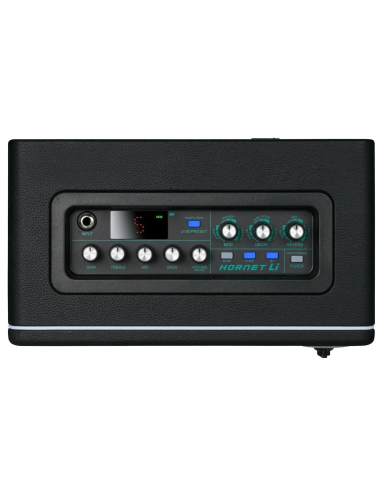 MOOER Hornet 15W