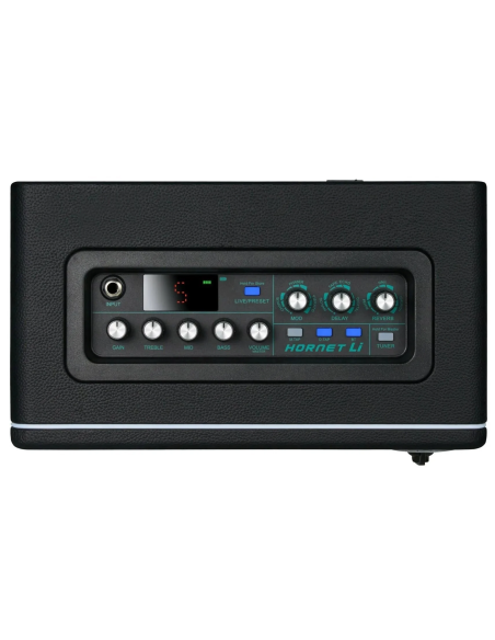 MOOER Hornet 15W