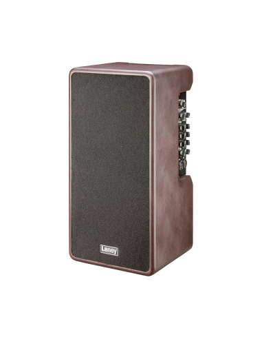Laney A-DUO-2