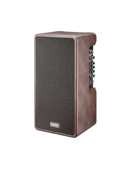 Laney A-DUO-2
