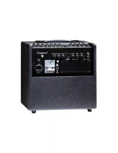 Tanglewood T6