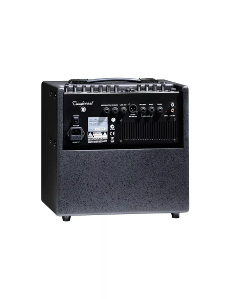 Tanglewood T6