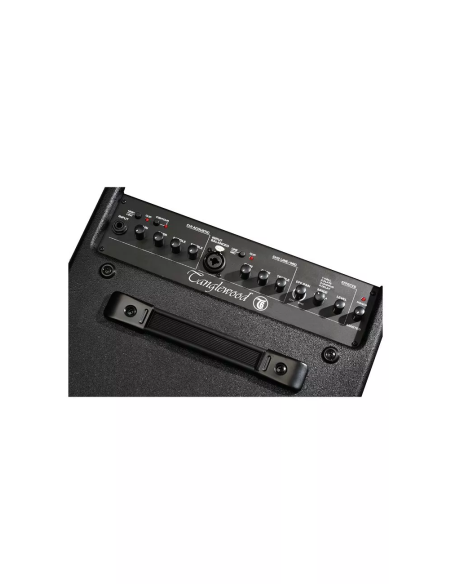 Tanglewood T6