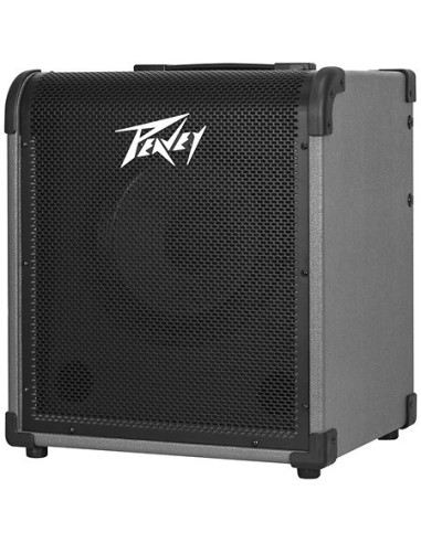 Peavey - Max 100