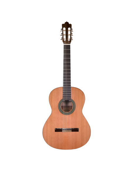 Prodipe Recital 300 4/4
