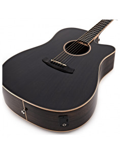Tanglewood TG049 - Winterleaf TW5 CE BS 2