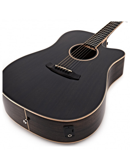 Tanglewood TG049 - Winterleaf TW5 CE BS