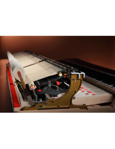 SHIGERU KAWAI SK EX