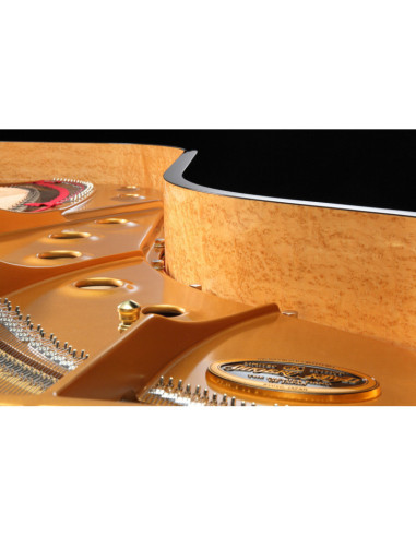 SHIGERU KAWAI SK EX