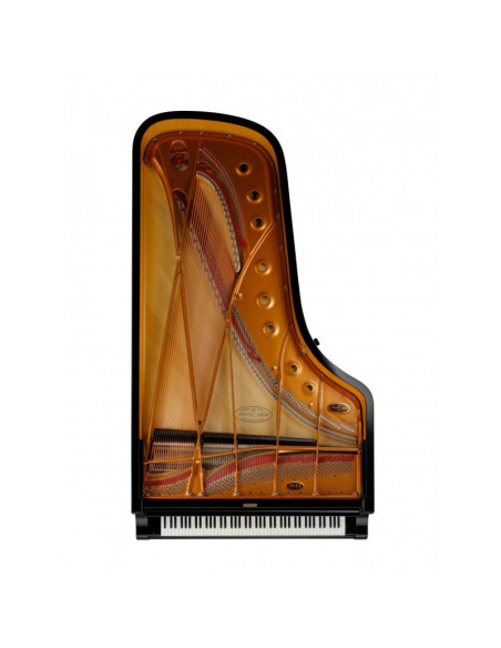 SHIGERU KAWAI SK EX