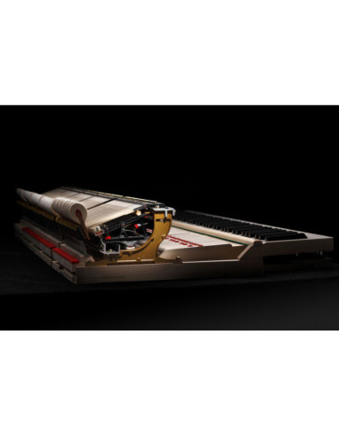 KAWAI GX6 Noir laque