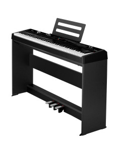 Pianos Numériques - NPK-20