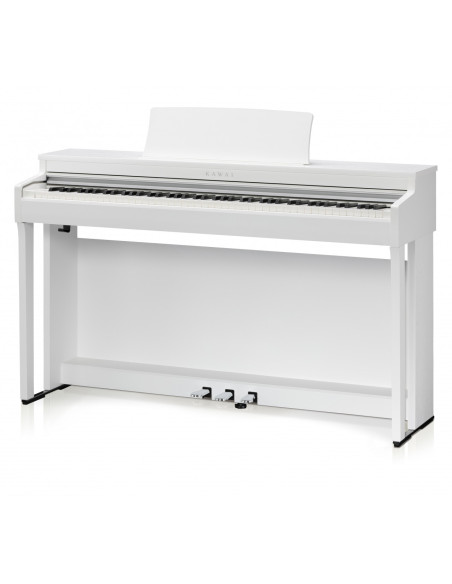 KAWAI CN 201W