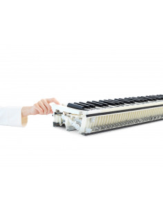 KAWAI CN 201W 2