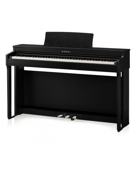 KAWAI CN 201B