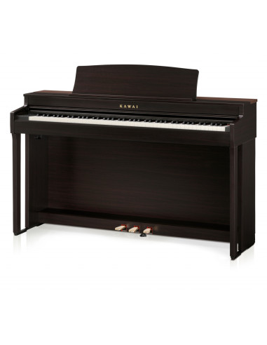 KAWAI CN 301R