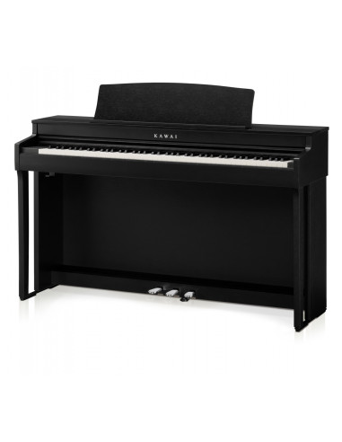 KAWAI CN 301B