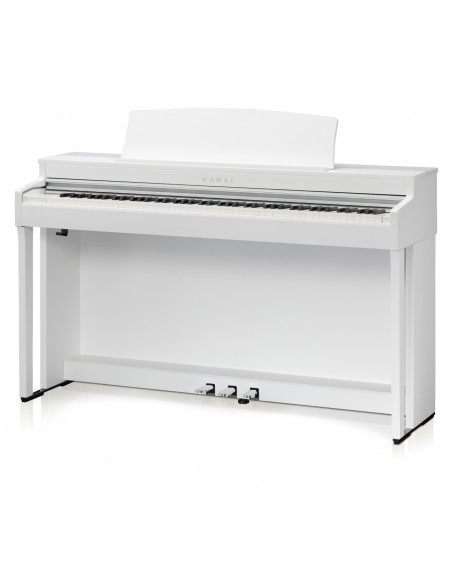 KAWAI CN 301W