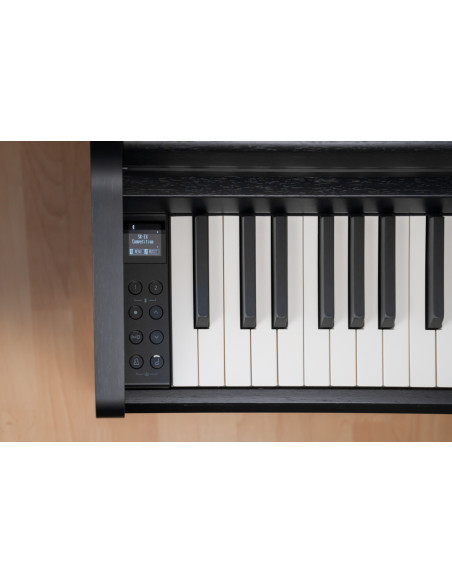KAWAI CA 401SB