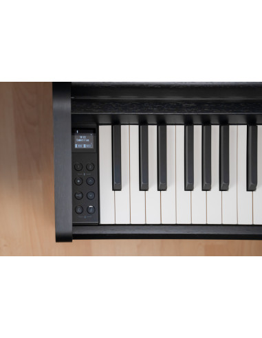KAWAI CA 401RW