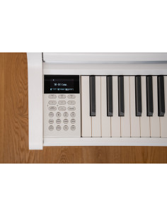 KAWAI CA501 W 2