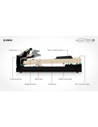 KAWAI CA 701W