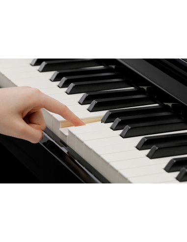 KAWAI CA901 R