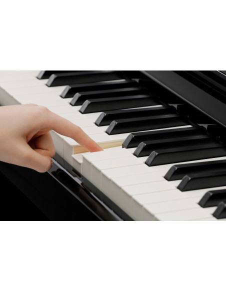 KAWAI CA901 R