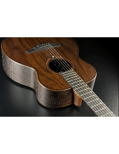 GREEN GUITARS - SAUVAGE - Travel